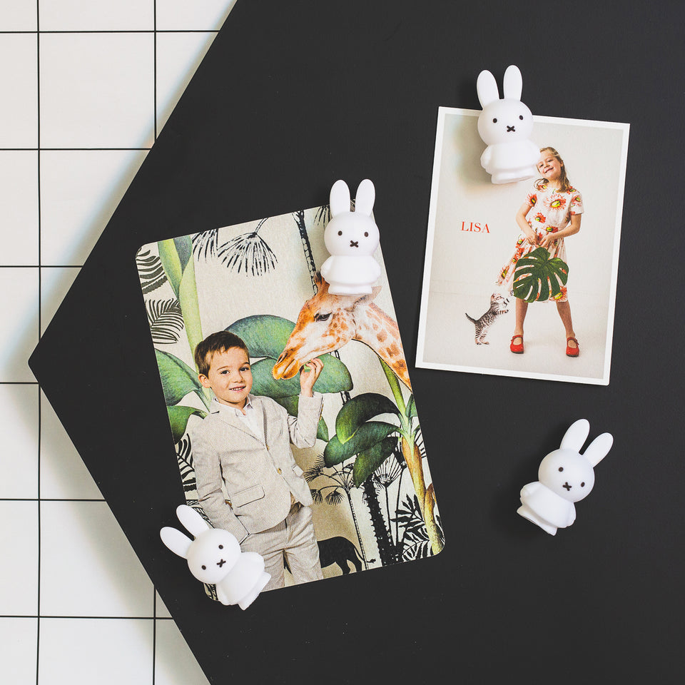 Miffy Magnet