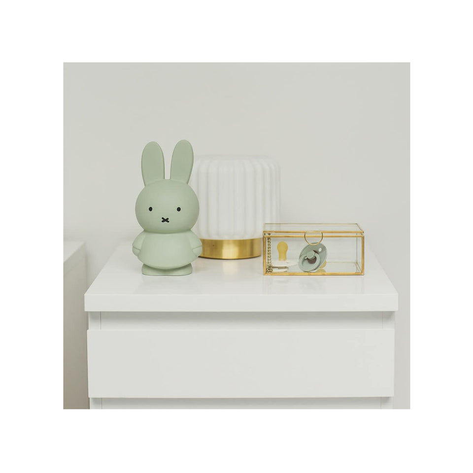 New Miffy Money Box / Spardose